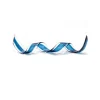 Viz Glass Azure Curl - Handblown Art Glass Ribbon Sculpture (Item #7567)