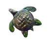 Viz Glass 7823BIR Tropical Sea Turtle Wall Art