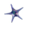 Viz Glass 7841BIR Tropical Starfish Wall Art