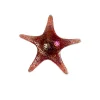 Viz Glass 7840BIR Tropical Starfish Wall Art