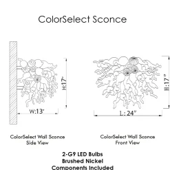 Viz Glass ColorSelect Baltic Amber Blown Glass Wall Sconce