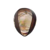 Viz Glass Eternal Elm River Stone Wall Art (Item 7115SIR)
