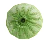 Viz Glass N4134B Natura Ceiling Glass