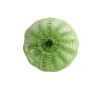 Viz Glass N4134S Natura Ceiling Glass