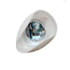 Viz Glass N7116S Natura Ceiling Glass