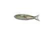 Viz Glass 7643SIR Fish Wall Art